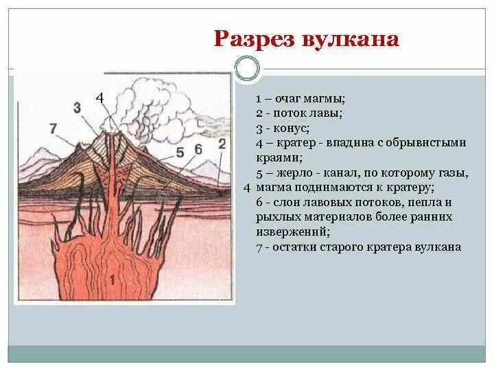 Установите соответствие ядро магма
