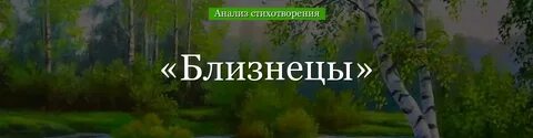 Анализ стихотворения близнецы