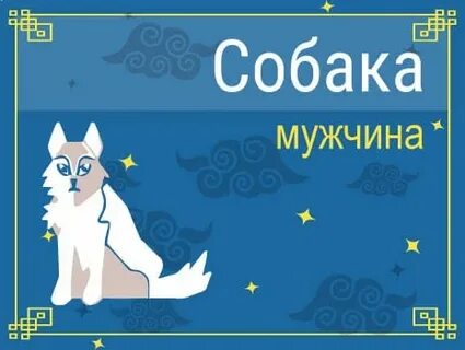 Собака мужчина характеристики