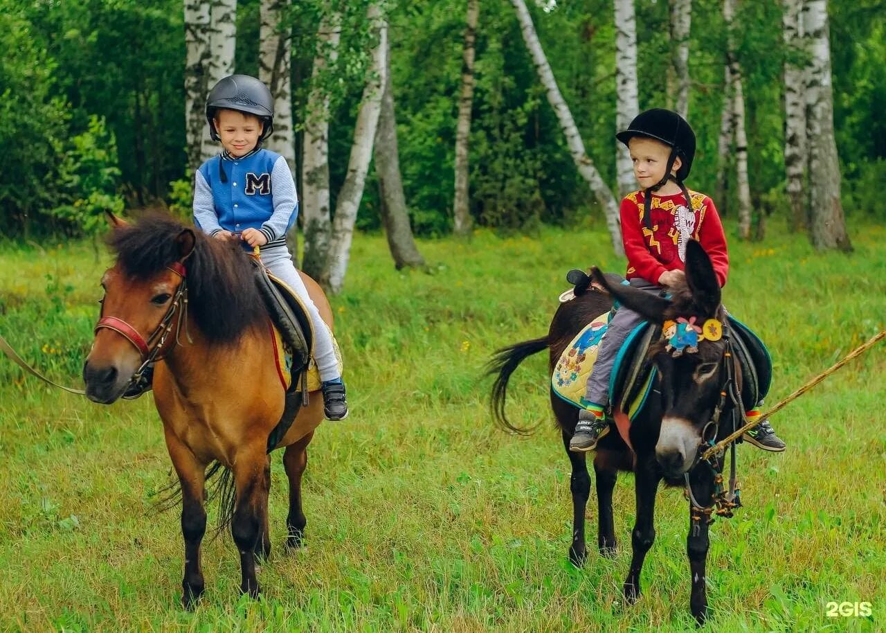 Верховая езда авито. Конный дворик Ярославль красный Бор. КСК конный двор Екатеринбург. Конный дворик. Бийск конный конный двор.