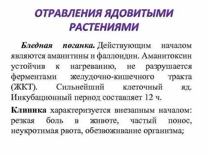 Действующее начало