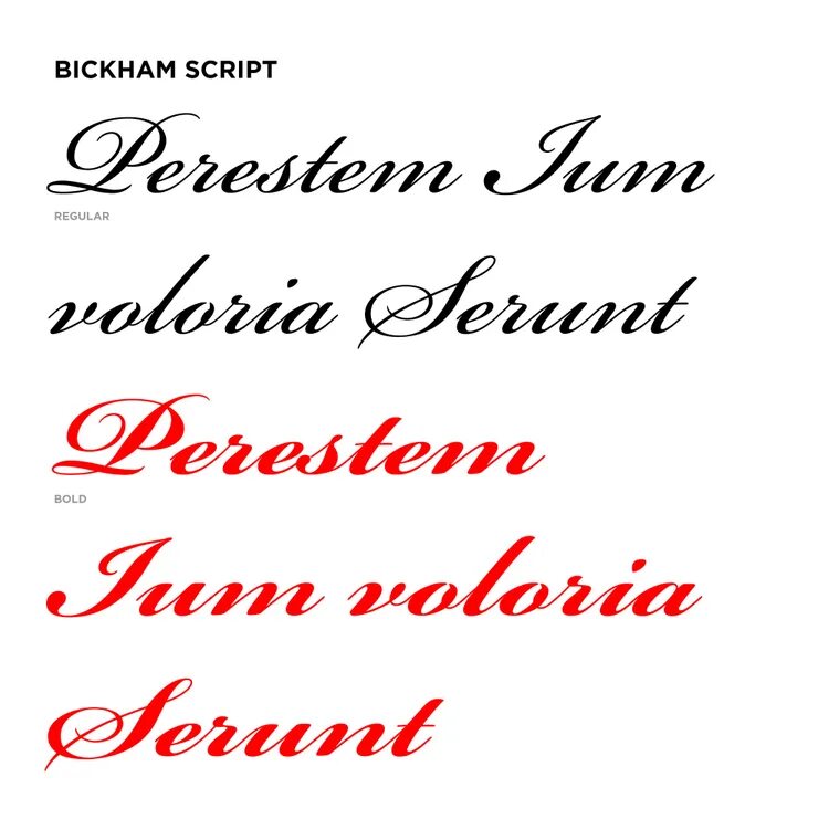 Шрифт Bickham script. Bickham шрифт. Шрифт Regular. Шрифт Astoria script. 4 4 2 script script