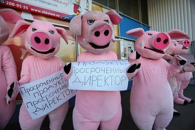 Свиньи в магазине. Хрюши против. Хрюши против просрочки. Свинки против.