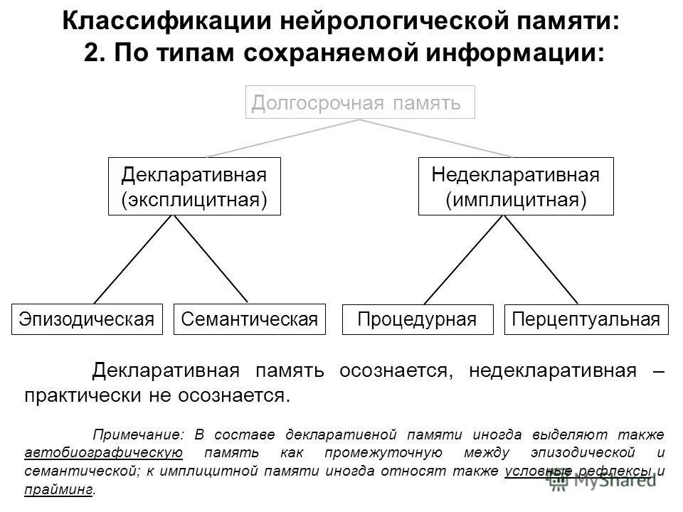 Декларативная и недекларативная память. Декларативную (эксплицитную) память. Виды памяти декларативная. Имплицитная и эксплицитная память.