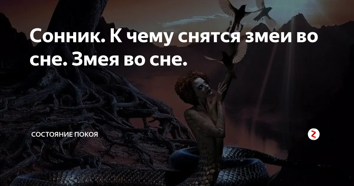 Змейки во сне. Сонник к чему снится змея. К чему снятся змеи. К чему снятся змеи женщине.