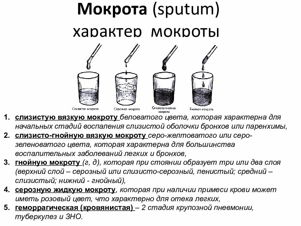 Образование мокроты. Слизисто гнойная мокрота характеристика. Серозный характер мокроты. Схема вид мокроты. Механизм выделения мокроты.