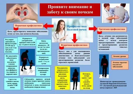 Профилактика мочеполовой системы