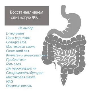 Восстановление слизистой желудка и кишечника