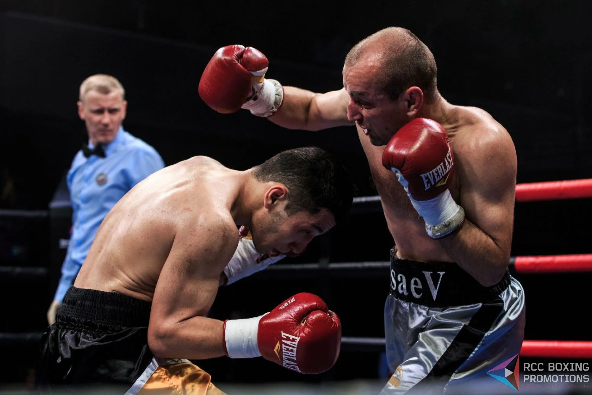 Бокс последние новости профессионального бокса на сегодня. Бокс профессионалы. Трояновский боксер. Вечер профессионального бокса спб. Проф бокс бойцы.