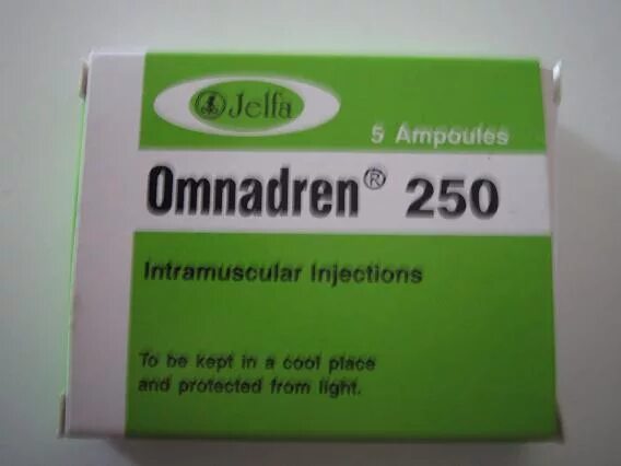 Омнадрен 250 в аптеке. Тестостерон 250мг омнадрен. Омнадрен 250. Омнадрен 250 аптечный. Омнадрен 250 фото.