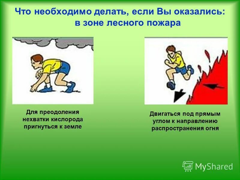 Правила безопасности при лесном пожаре. Пути распространения пожара в здании. Зоны пожара. Линейное и объемное распространение пожара. Способы ведения разведки пожара.