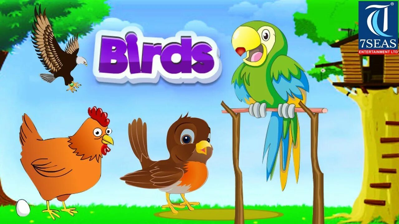 Birds children weather. Птицы на английском. Bird for Kids. Birds in English for Kids. Animals and Birds for Kids.