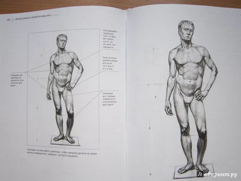 Человек с книгой рисунок. Фигуры человека для рисования пособия. Японская техника рисования - хикару хаяши. Книга рисование джованни чиварди. Александр рыжкин художник книги.