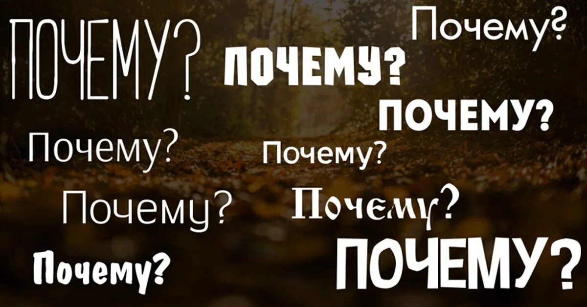 Почему надпись. Почему почему. Что? Зачем? Почему? Надпись.