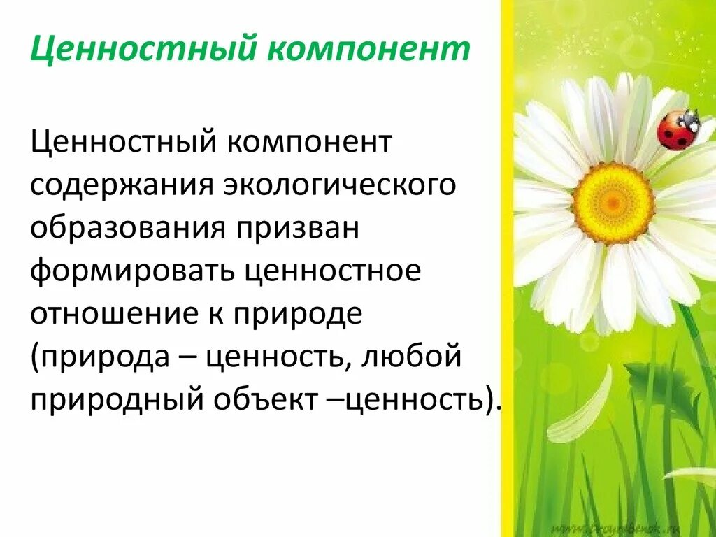 Ценностного отношения к окружающей среде. Составляющие ценностное отношение к природе. ценностные основы экологического отношения к природе. компоненты экологического образования. аксиологический компонент экологической культуры.