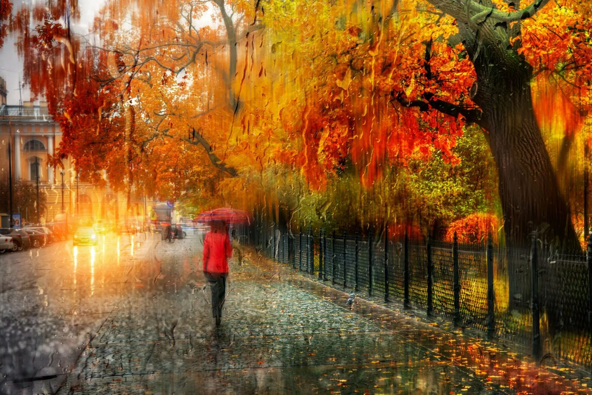 Осенний дождь картинки красивые