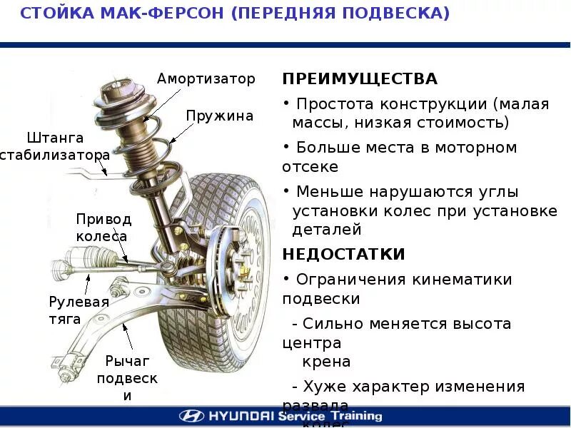 Из чего состоит задний