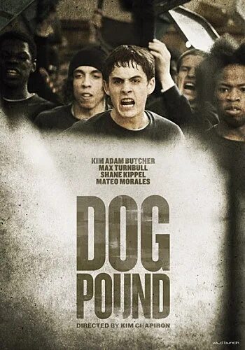 Загон для собак бутч. Doggy pound. Dog pound. Doggy pound. Загон для собак бутч.