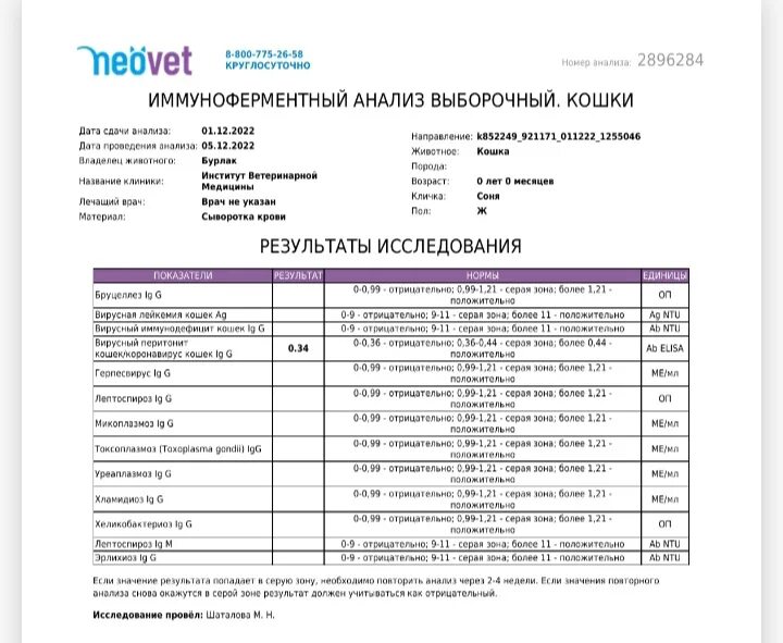 Схема лечение гастроэнтерита собак. Анализ кала собаки. Лабораторная диагностика острого гастроэнтерита. Гастроэнтерит у детей в детском саду памятка. Гастроэнтерит анализы какие.