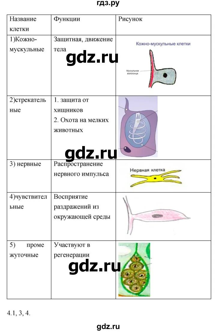 Биология 7 класс рабочая тетрадь тихонова. Биология 7 класс Тихонов. Гдз по биологии 7 класс Тихонова. Биология 7 класс Тихонова &53.