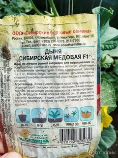 Дыня сибирская медовая