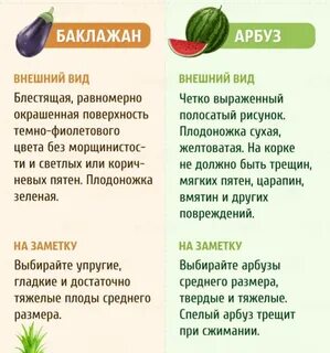 Можно баклажан при грудном вскармливании
