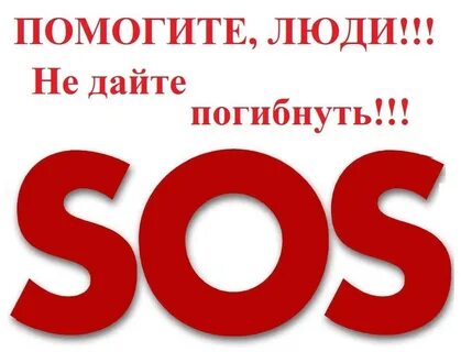 Помогайте ольге вы помогаете