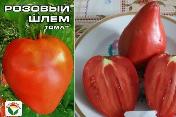 Сорт томата розовая катя - найдено 86 фотографий