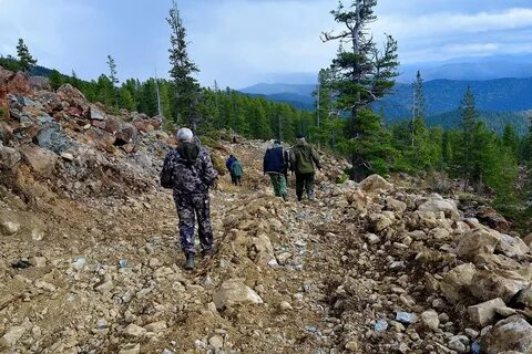 Добываемый незаконно