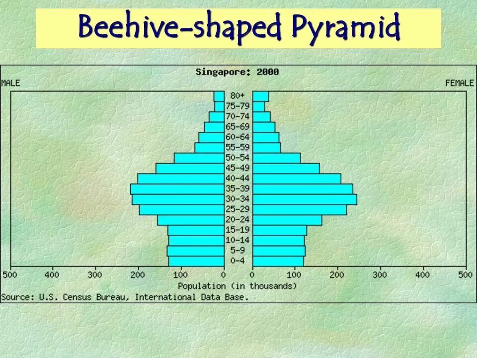 Population pyramid. Types of population Pyramid. Population Pyramid Kazakhstan. Population Pyramid migrants. Population Pyramid Imaging technique.