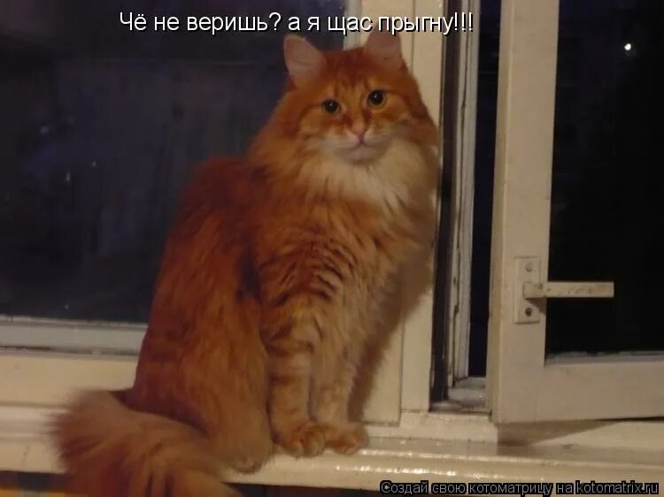 Велосипед щас прыгну. Девушка прыгнула с крыши. Шутки про суицид. Славик летун. Космос будет наш.