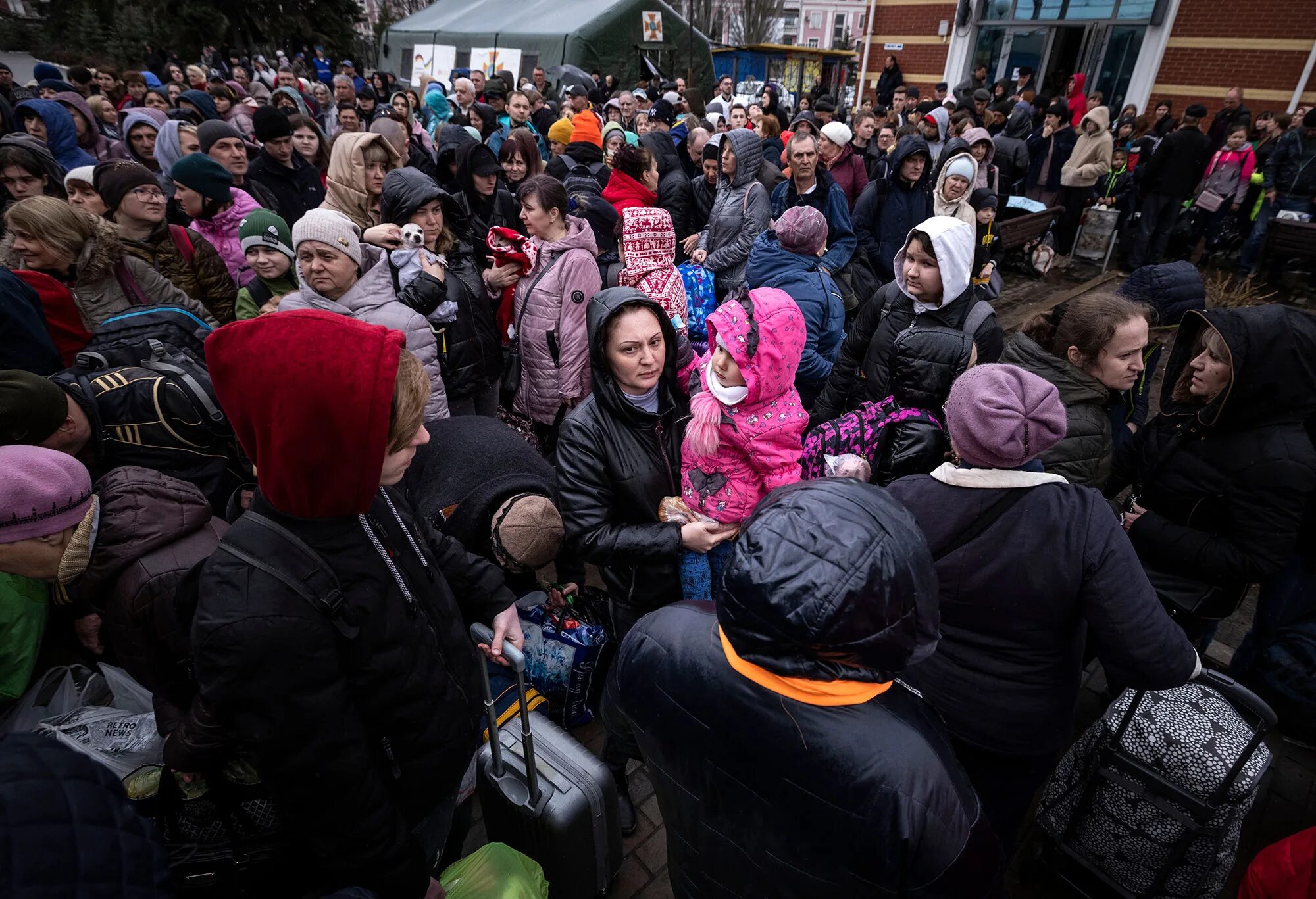 Какие новости сегодня в городе. Беженцы. Беженцы с Украины. Беженцы из Украины в Россию.