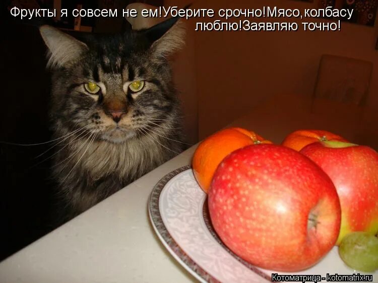 советы для похудения. невкусная еда для детей. что кушать чтобы не хотелось кушать. есть не хочу но ем что делать. нужно ли завтракать если не хочется.