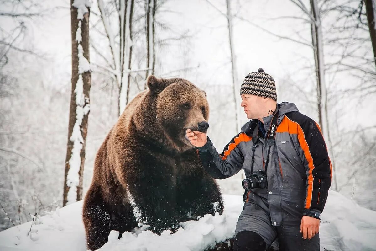 Собака привела медведей к хозяину