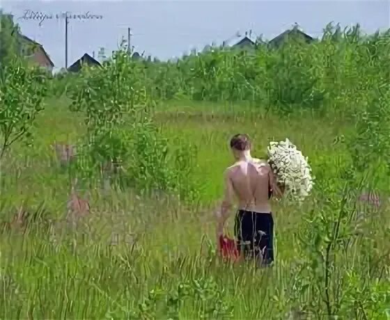Нарву цветов той девушке которую люблю. Нарву цветов и подарю букет. нарву цветов и подарю букет той девушке которую. сорву цветов и подарю букет той девушке. нарву цветов и подарю той девушке которую люблю.