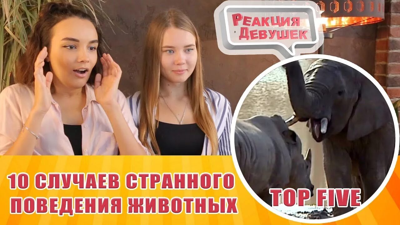 Реакция девушек. Реакция девушек Юля.