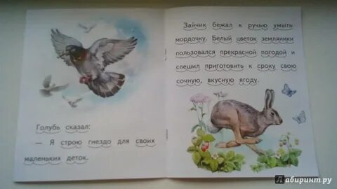 Ушинский в роще