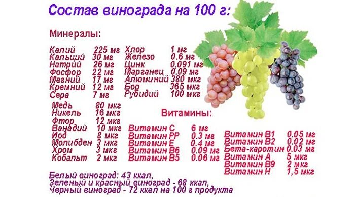 Виноград полезное витамины. Состав винограда. Виноград состав витаминов. Витамины в винограде. Состав винограда.