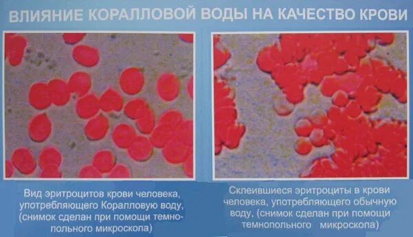 Коралловая вода. Структура коралловой воды. Вода показатели коралловый.