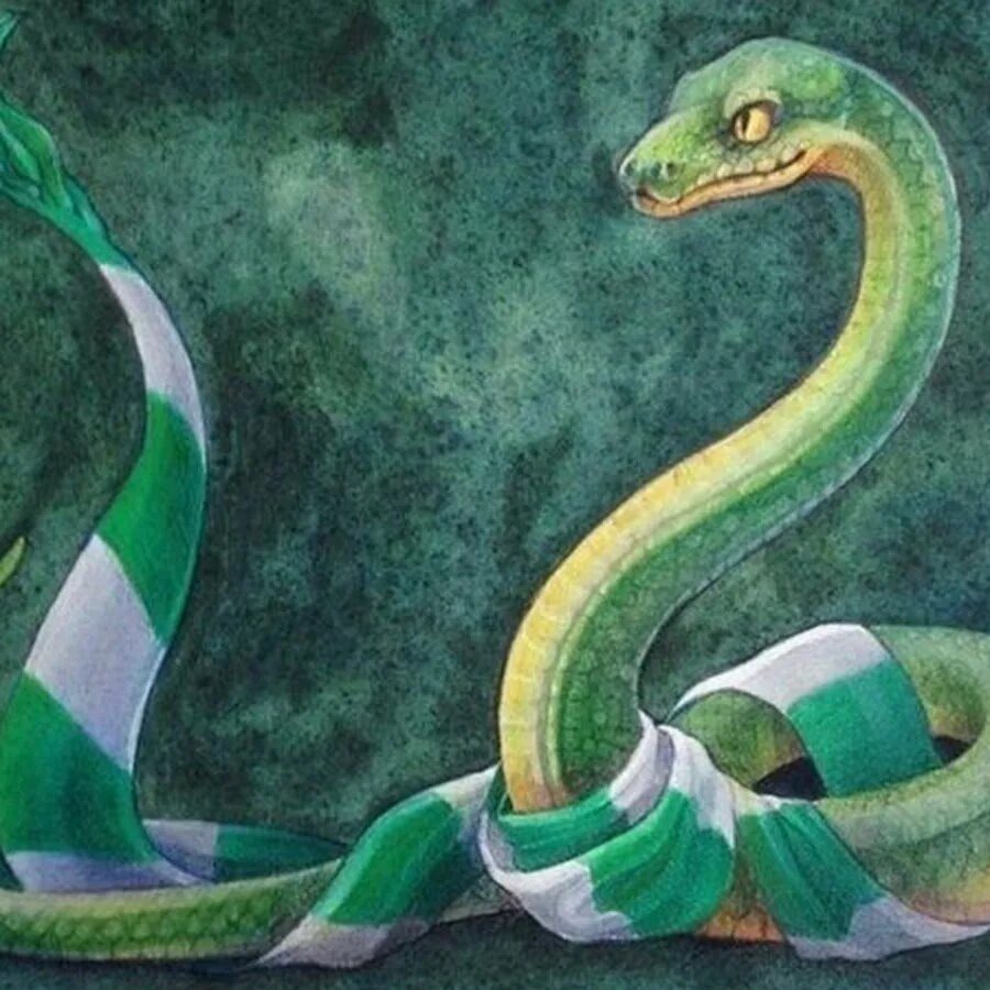 Змей слизерина. Змей слизерина. Салазар слизерин змея. Герб слизерина акварелью. Змей слизерина.