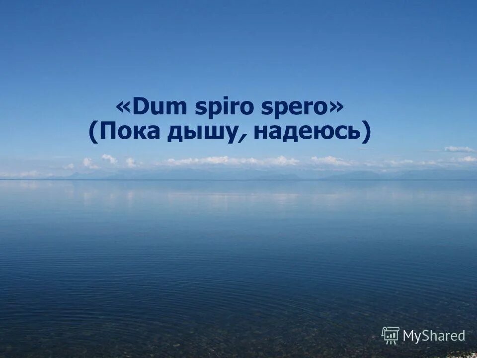 Пока дышу надеюсь фф. Dum spiro spero пока дышу надеюсь. пока живу надеюсь. пока дышу надеюсь на латыни. девиз пока дышу надеюсь.