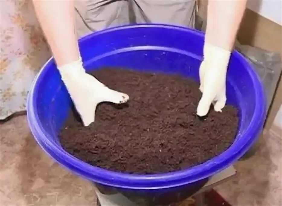 Земля для рассады перца какая лучше. Земля для рассады. подготовка почвы для рассады. грунт для рассады помидор. приготовление грунта для рассады.