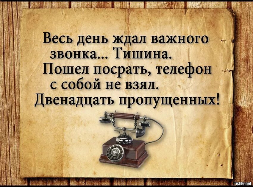 Жду б д. Цитаты про звонки. Цитаты о звонках. Жду цитаты смешные. Смешные высказывания про звонки.