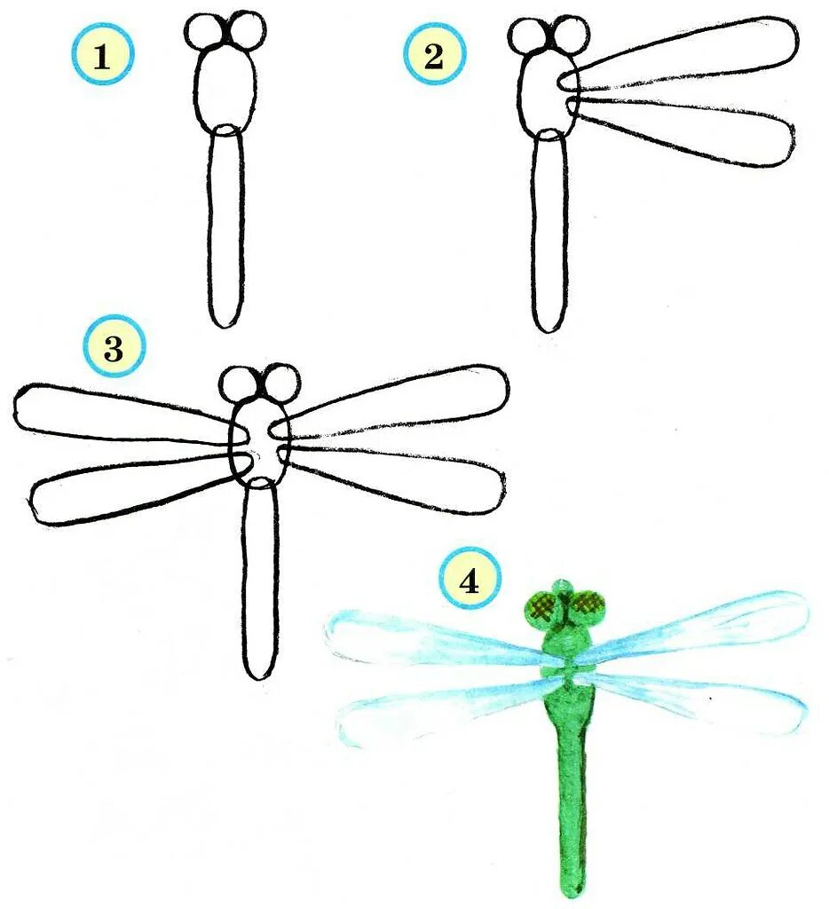 Рисование насекомые старшая. Поэтапное рисование Стрекозы. Поэтапное рисование насекомых. Как нарисовать стрекозу. Схема рисования насекомых для детей.