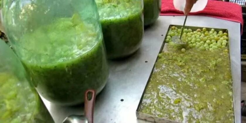 Вино из крыжовника. Крыжовник вино. Вино из крыжовника. Вино из зеленого крыжовника. Вино из зеленого крыжовника.
