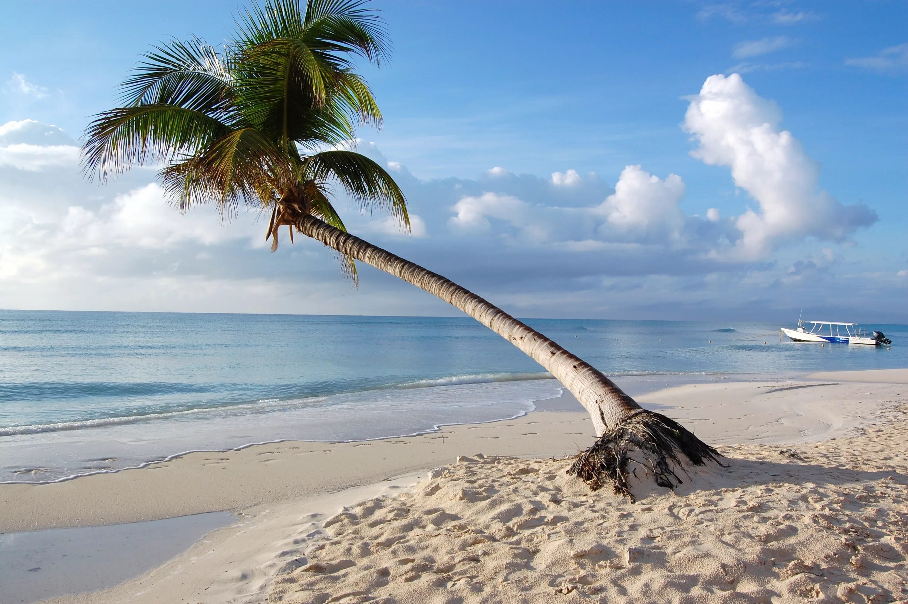 Карибские острова крым. Мальдивы пальмы. Гавайи Мальдивы Карибы. Красивый пляж. Море пляж.
