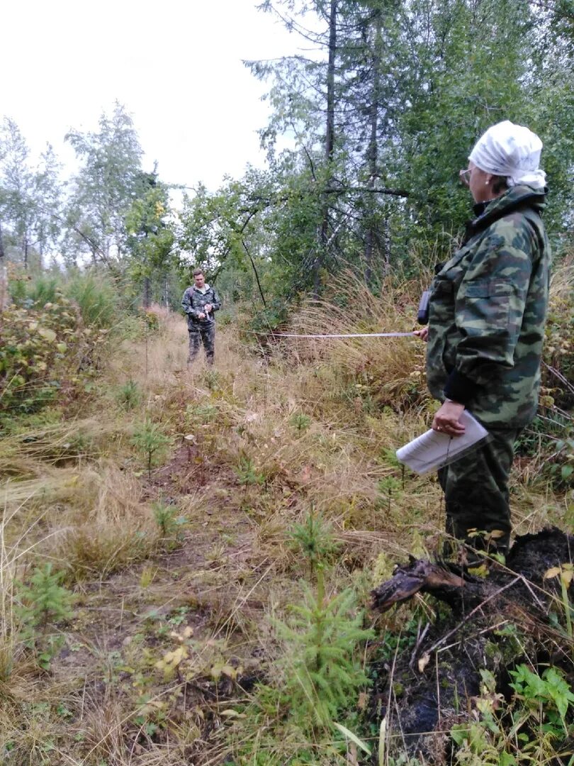 Акт технической приемки лесных культур пример заполнения. Техническая приемка лесных культур. Книга учета семян образец. Учет лесных культур. Фото осенняя инвентаризация лесных культур.