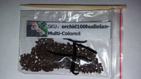 Как выглядят семена орхидеи Семена орхидеи Aliexpress Promotion! 100pcs/lot 10 kinds different seed Butterfl