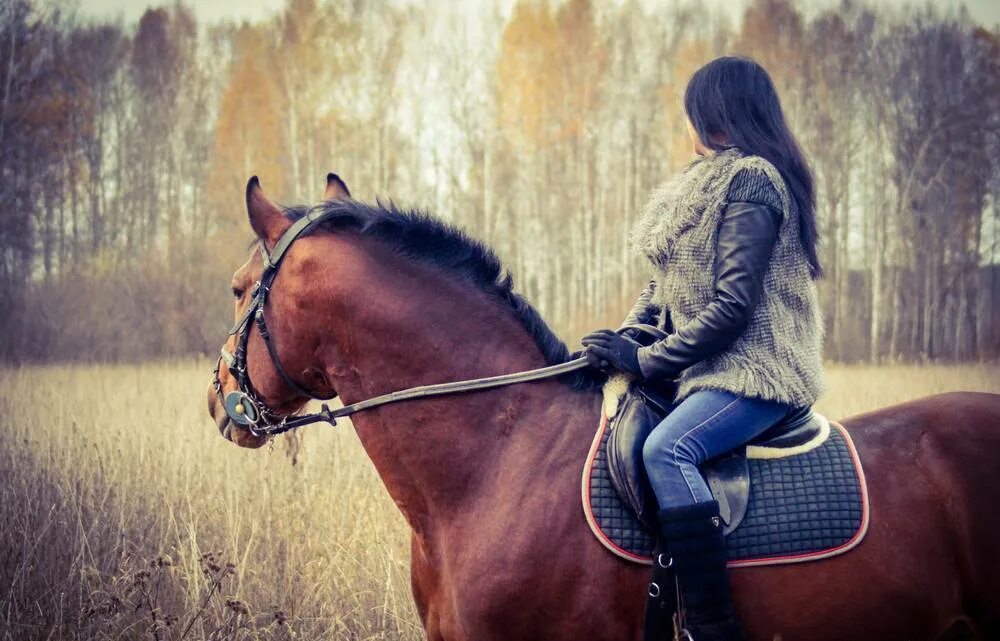 Кск мир. Фотосессия с лошадьми. Фотосессия с лошадьми Екатеринбург. Конная фотосессия Екатеринбург. Фотосессия на лошади без лица на длинные волосы.