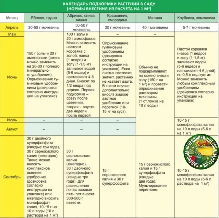 Календарь подкормок растений. Календарь подкормки цветов в саду. Календарь удобрений для растений. Лунный календарь подкормки растений.